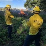 Fire Vegetation Management Personnel