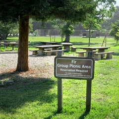 Fir group picnic area