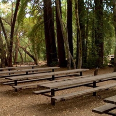 Picture of West Meadow Picnic Area
