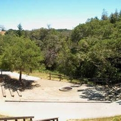 Sequoia Amphitheater