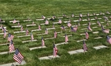 Golden Gate National Cemetery Memorial Day 2024